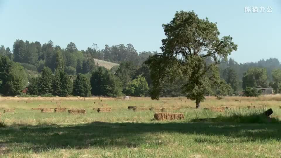 儋州发布首部地方性法规 推进矿山生态修复工作